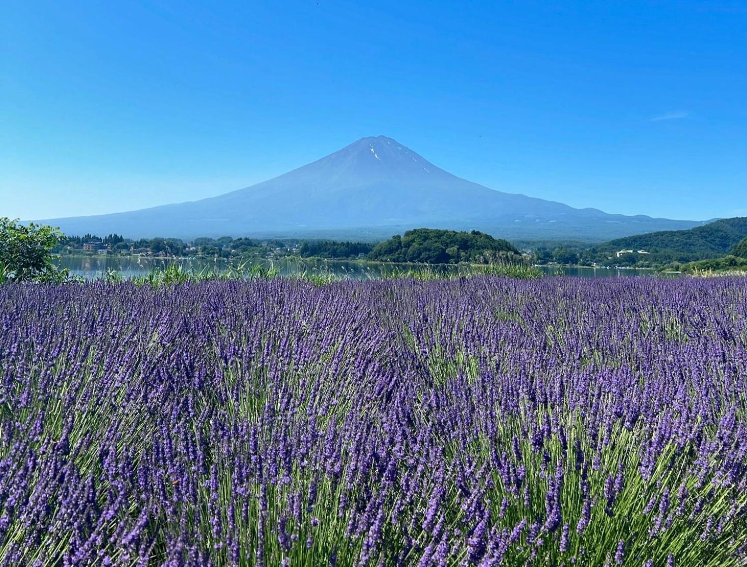 Holiday Home Furinkazan 風林火山 Fujikawaguchiko Dış mekan fotoğraf